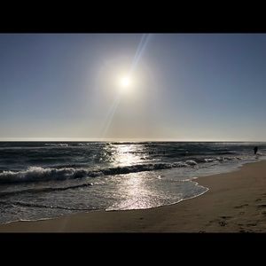 Meet your Posher, Dadaisy